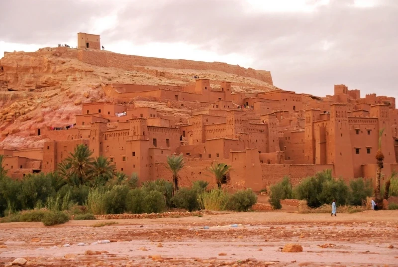 Circuits dans le désert marocain